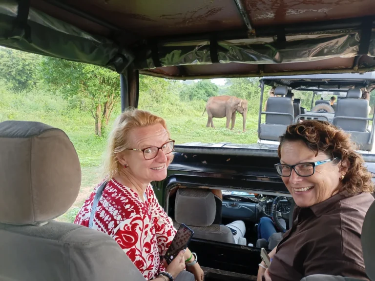 Travellers viewing an elephant from an open safari vehicle