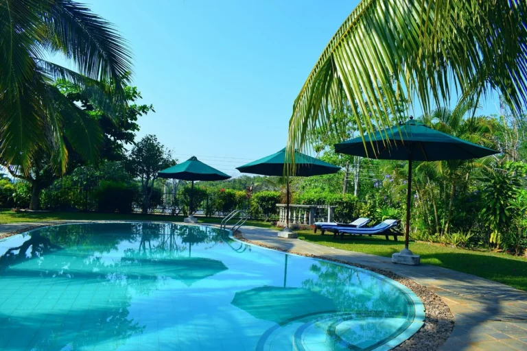 Swimming pool surrounded by palms and sun loungers at Asian Jewel Hotel