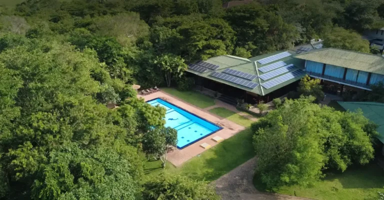 Aerial view of Camellia Resort and Spa swimming pool surrounded by trees