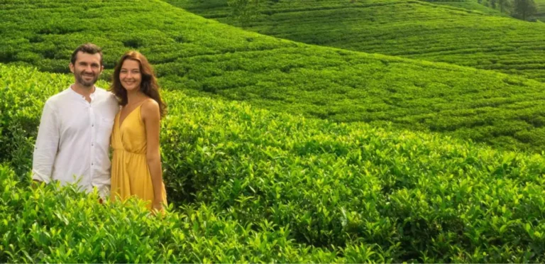 Couple standing among green tea bushes in Sri Lanka
