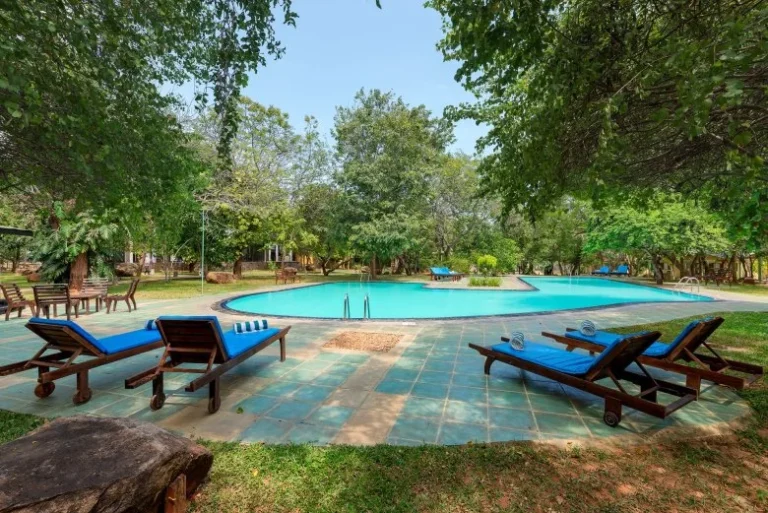 Swimming pool and blue loungers surrounded by trees at Elephant Reach Hotel