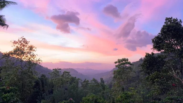 Pink sunset above wooded hills viewed from Ellerton Hotel