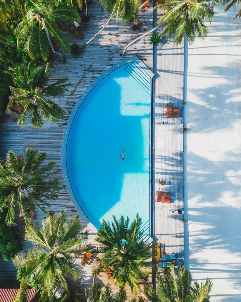Curved resort pool bordered by palm trees in the Maldives