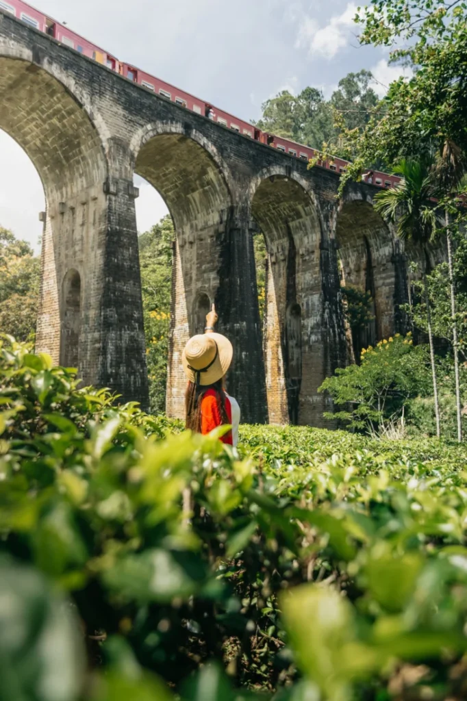 Visitor beside the Nine Arch Bridge amid green vegetation in Ella