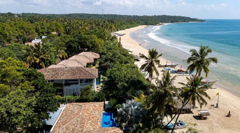 Palm-lined beachfront and turquoise sea beside Halcyon Mawella