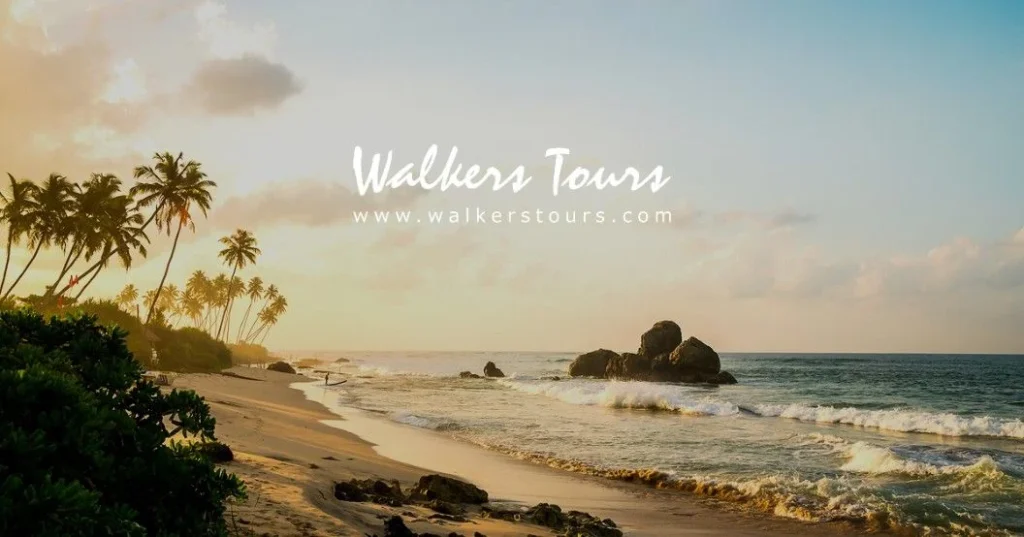 Palm-lined beach in a Walkers Tours Sri Lanka travel banner